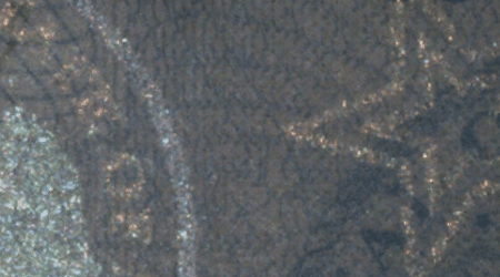 State ID pearlescent overlay security feature example